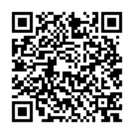 QR code for 6PG6309