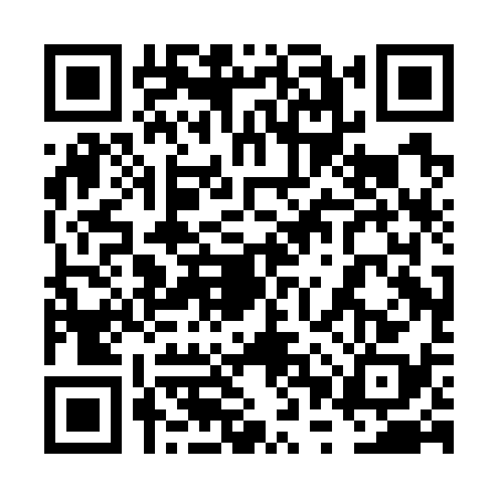 QR code for 6PPG387