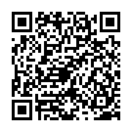 QR code for 6PSS541