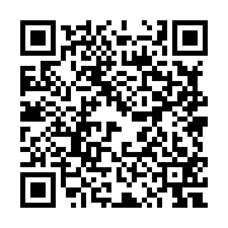 QR code for 6SM8133