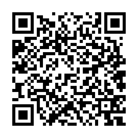 QR code for 6Z66334