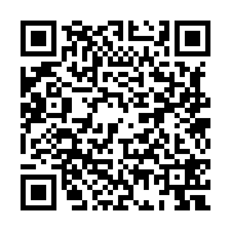 QR code for 8G38281