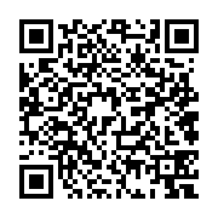 QR code for 8G67384