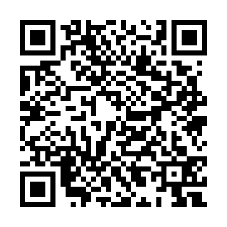 QR code for 8L17333