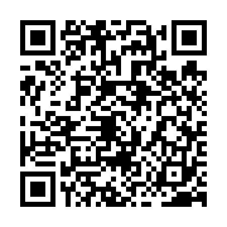 QR code for 8MS6738