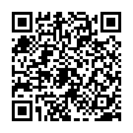 QR code for 8N51381