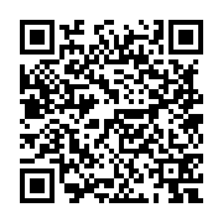 QR code for 8NS8729