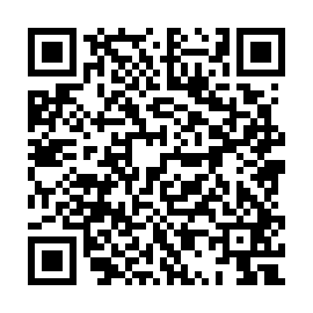 QR code for 8P8741C