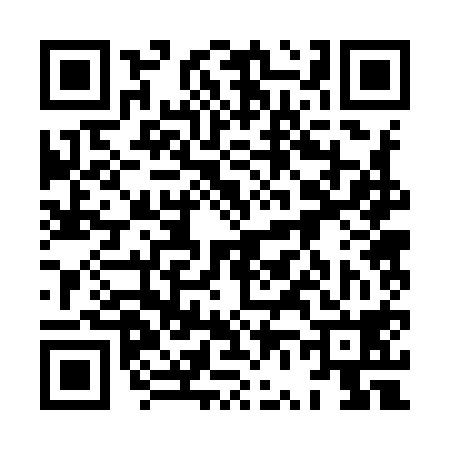 QR code for 8V2918P