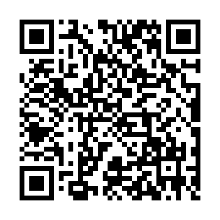 QR code for 9BBZ311