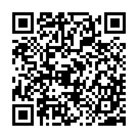QR code for 9D2847K