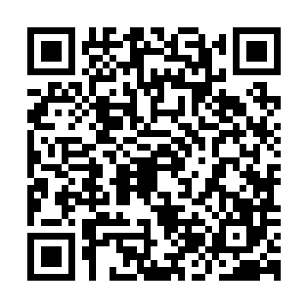QR code for 9JJ2866