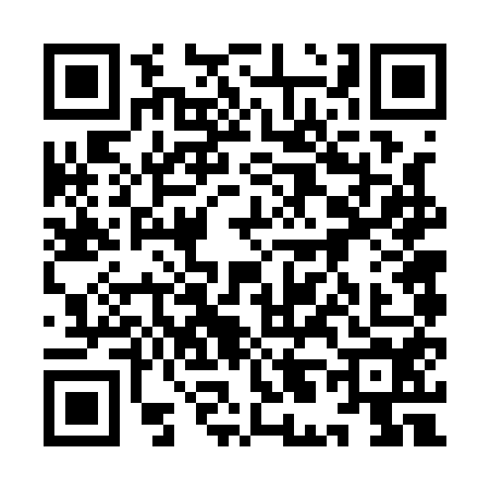 QR code for 9L61541