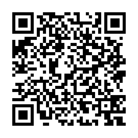 QR code for 9L95393