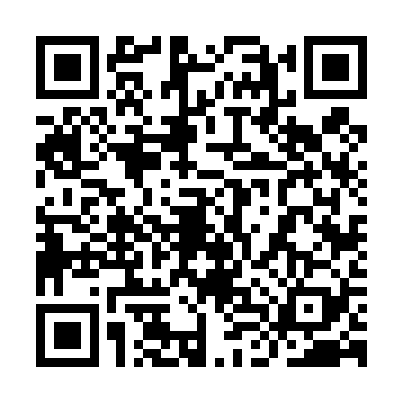 QR code for 9LV4294