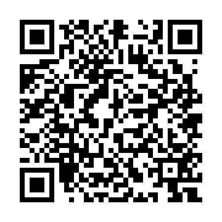 QR code for 9LZ3533