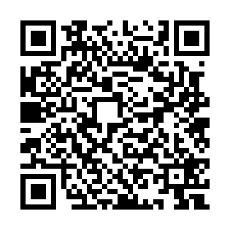 QR code for 9N20295