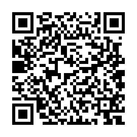 QR code for 9N60125