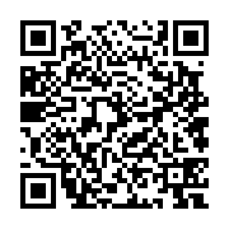 QR code for 9N60387
