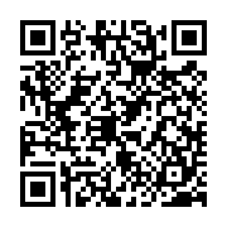 QR code for 9NR4541