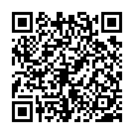 QR code for 9NZV086
