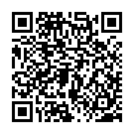 QR code for 9P2954T