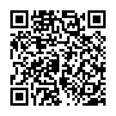 QR code for 9P80393