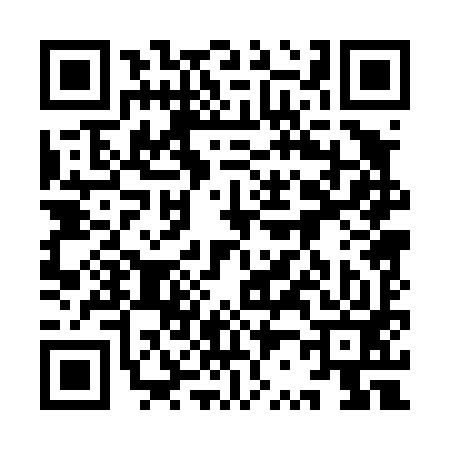QR code for 9R0493Z