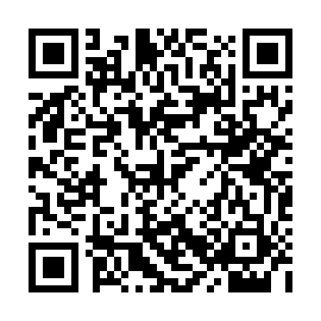 QR code for 9R17533