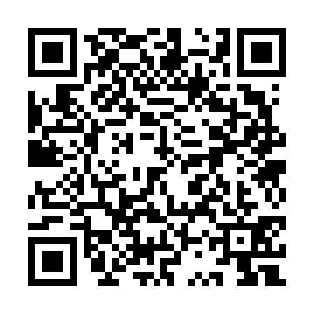QR code for 9SS6313
