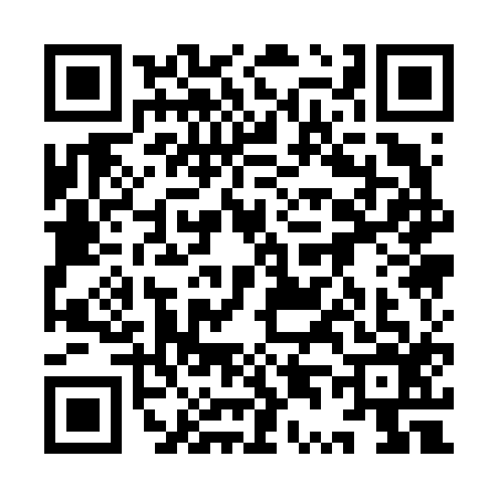 QR code for 9T16163