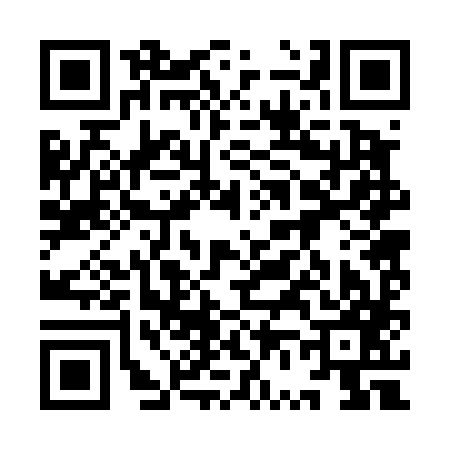 QR code for 9V2487M