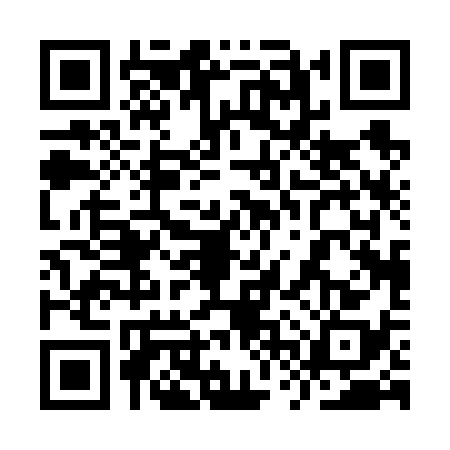 QR code for 9VP6383