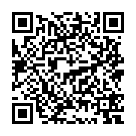 QR code for 9W95287