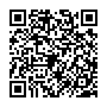 QR code for 9Z06553