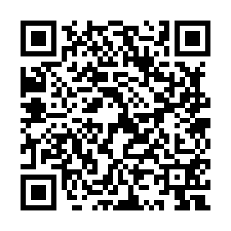 QR code for 9Z38506