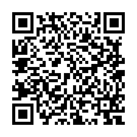 QR code for 9Z3895S