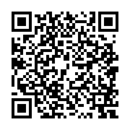 QR code for 9ZH3838