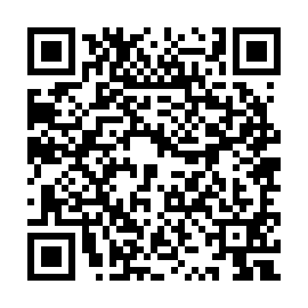 QR code for 9ZJ2919