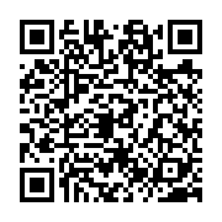 QR code for 9ZY6291