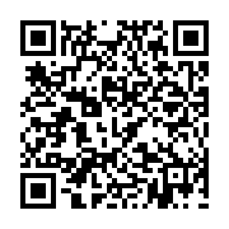 QR code for AMM380
