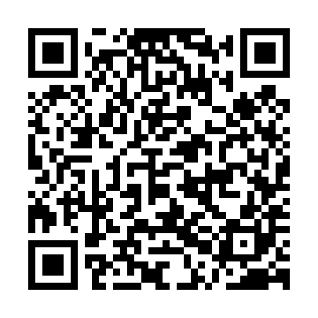 QR code for APG480