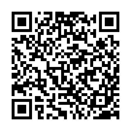 QR code for ASA383