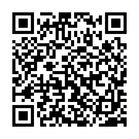 QR code for AVN393