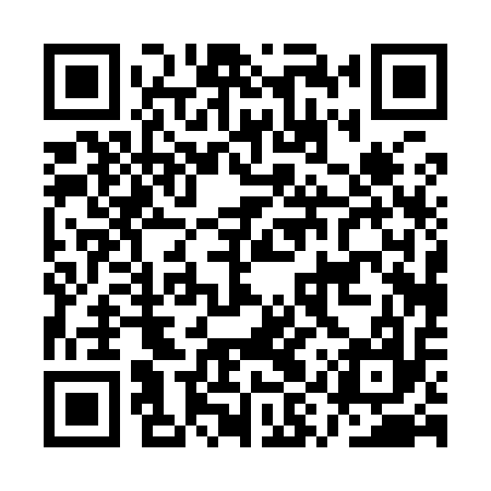 QR code for AYP917