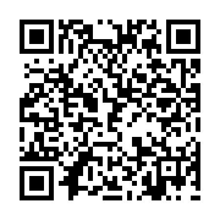QR code for BHL376