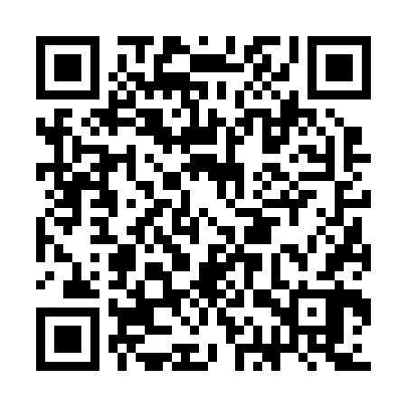 QR code for CAV262