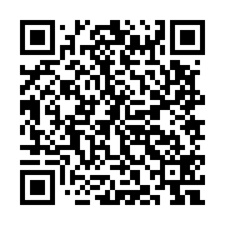QR code for CHJ519