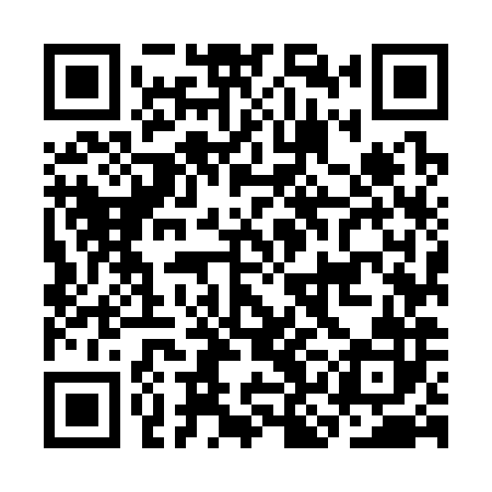QR code for CKM382