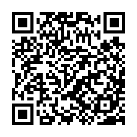 QR code for CZP685